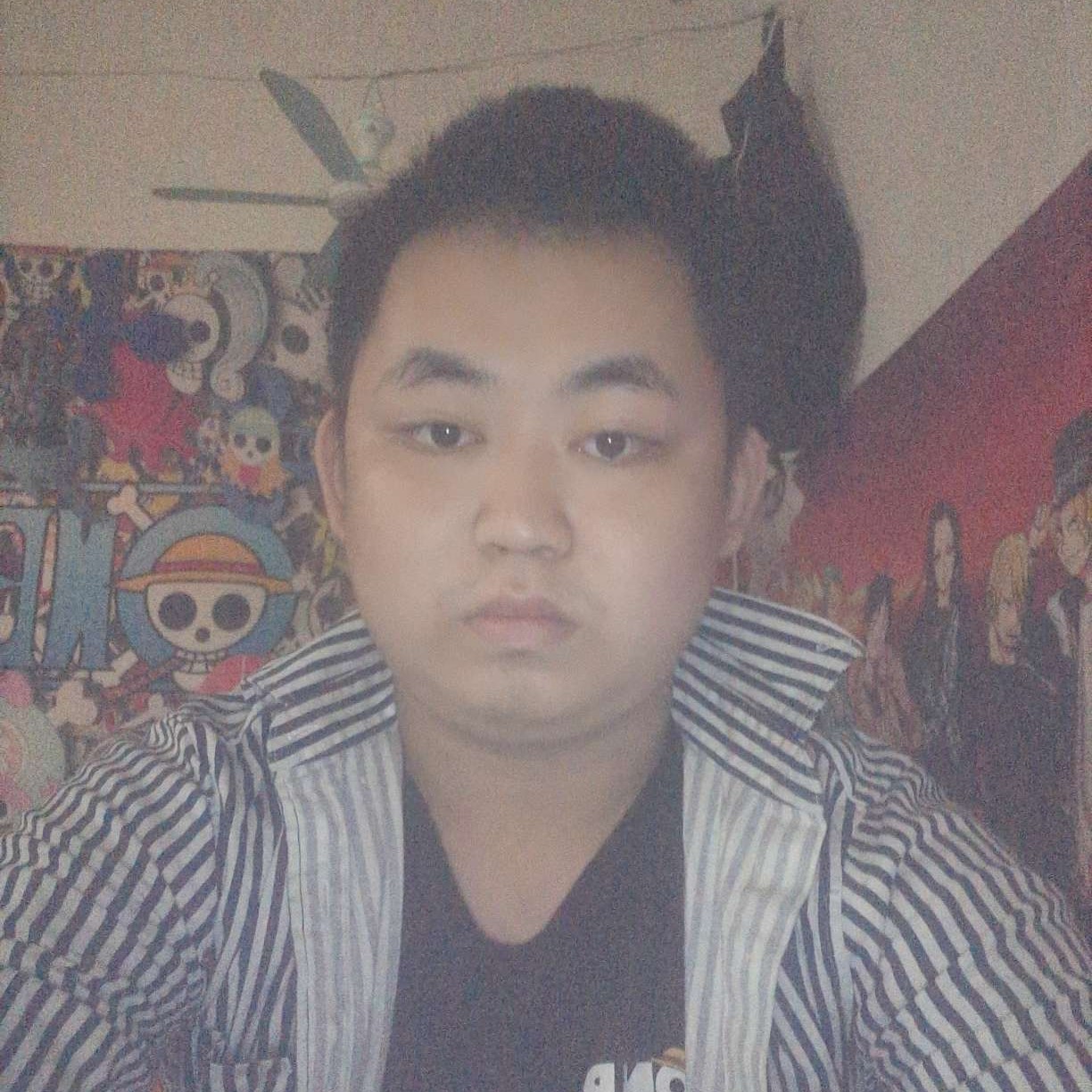 和谐打芝麻的照片
