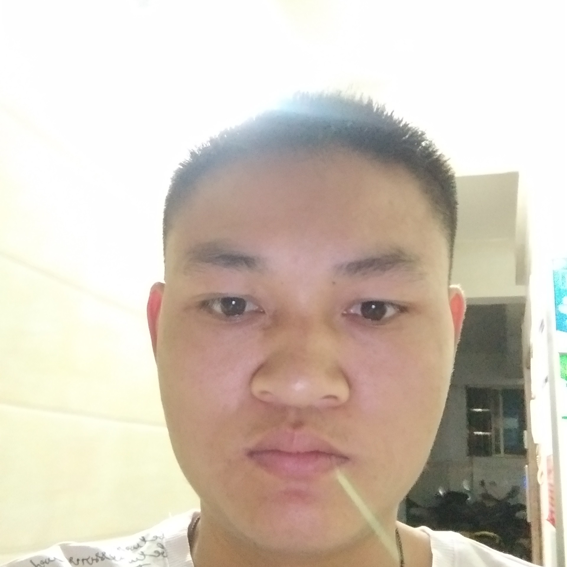 虚心倾心蘩藜的照片