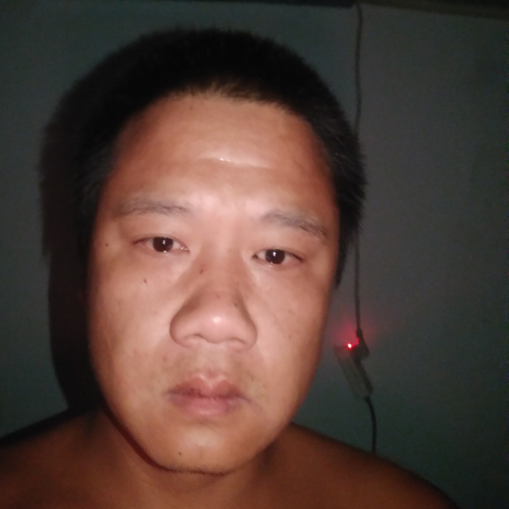 老虎等待闪闪的照片
