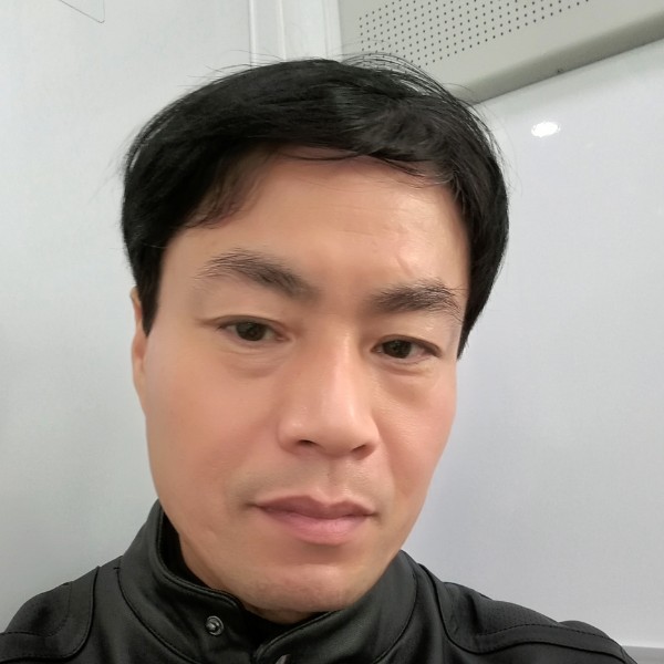 林中雨竹的照片