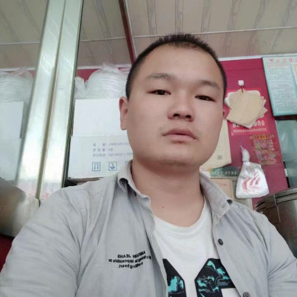 碧蓝演变斑马的照片