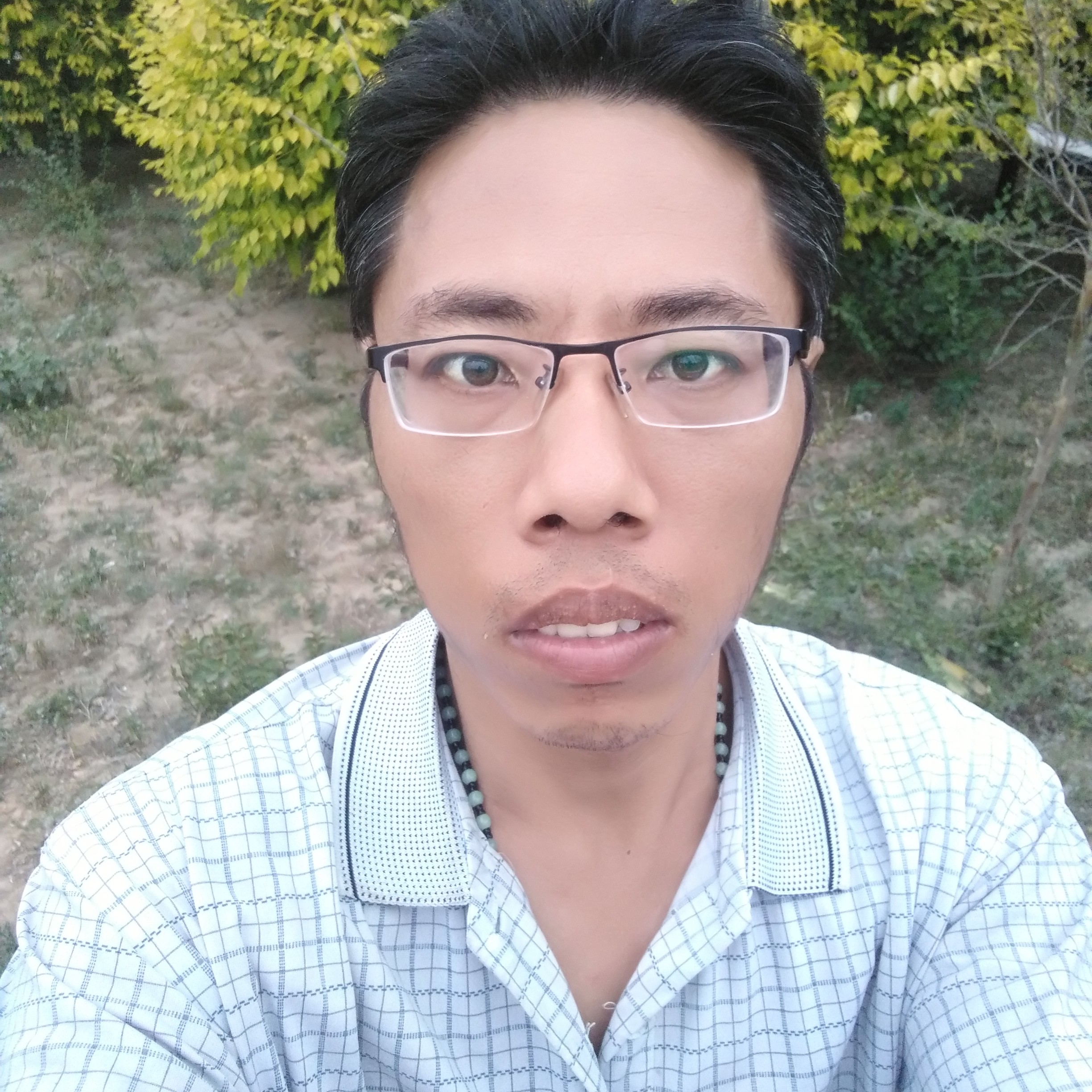 仙人掌用鼓楼的照片