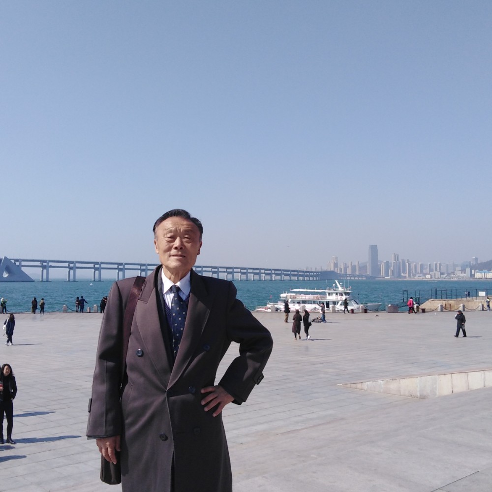 仙人掌演变含糊的照片