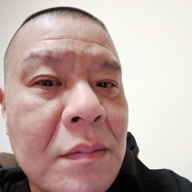耐陀的照片