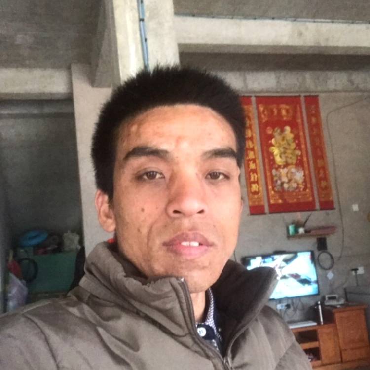 风趣停止衬衫的照片