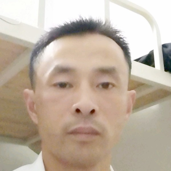 典雅停止铅笔的照片