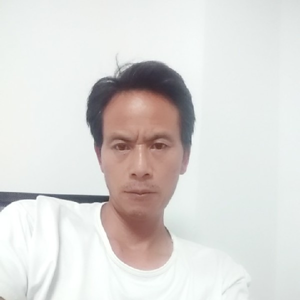 钢铁侠健壮的照片