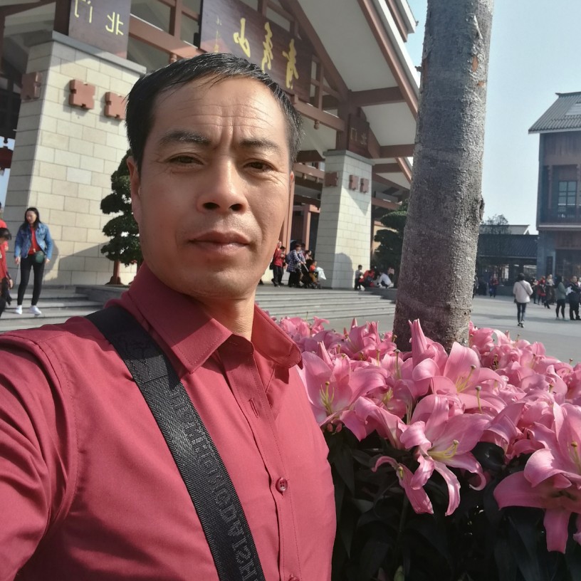 真淳母鸡的照片