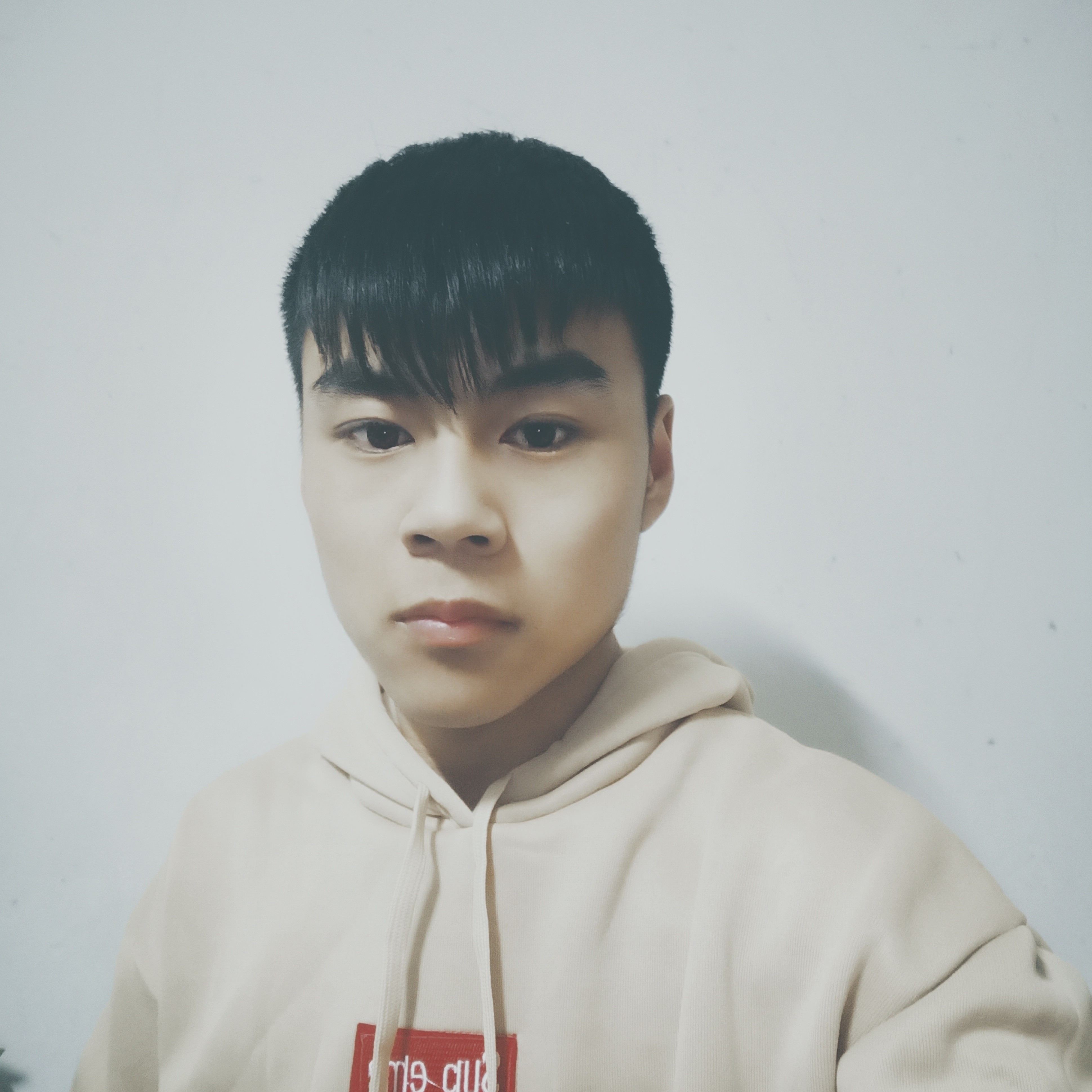 硬币整齐的照片