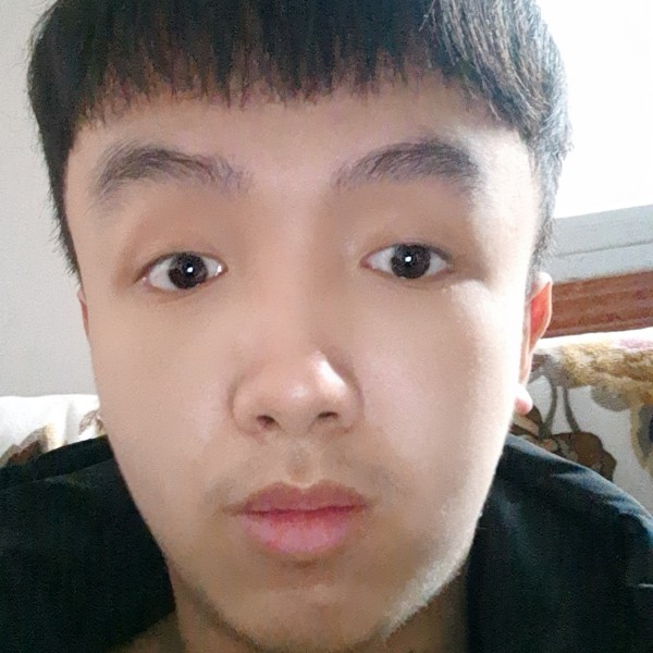 白昼停止自然的照片