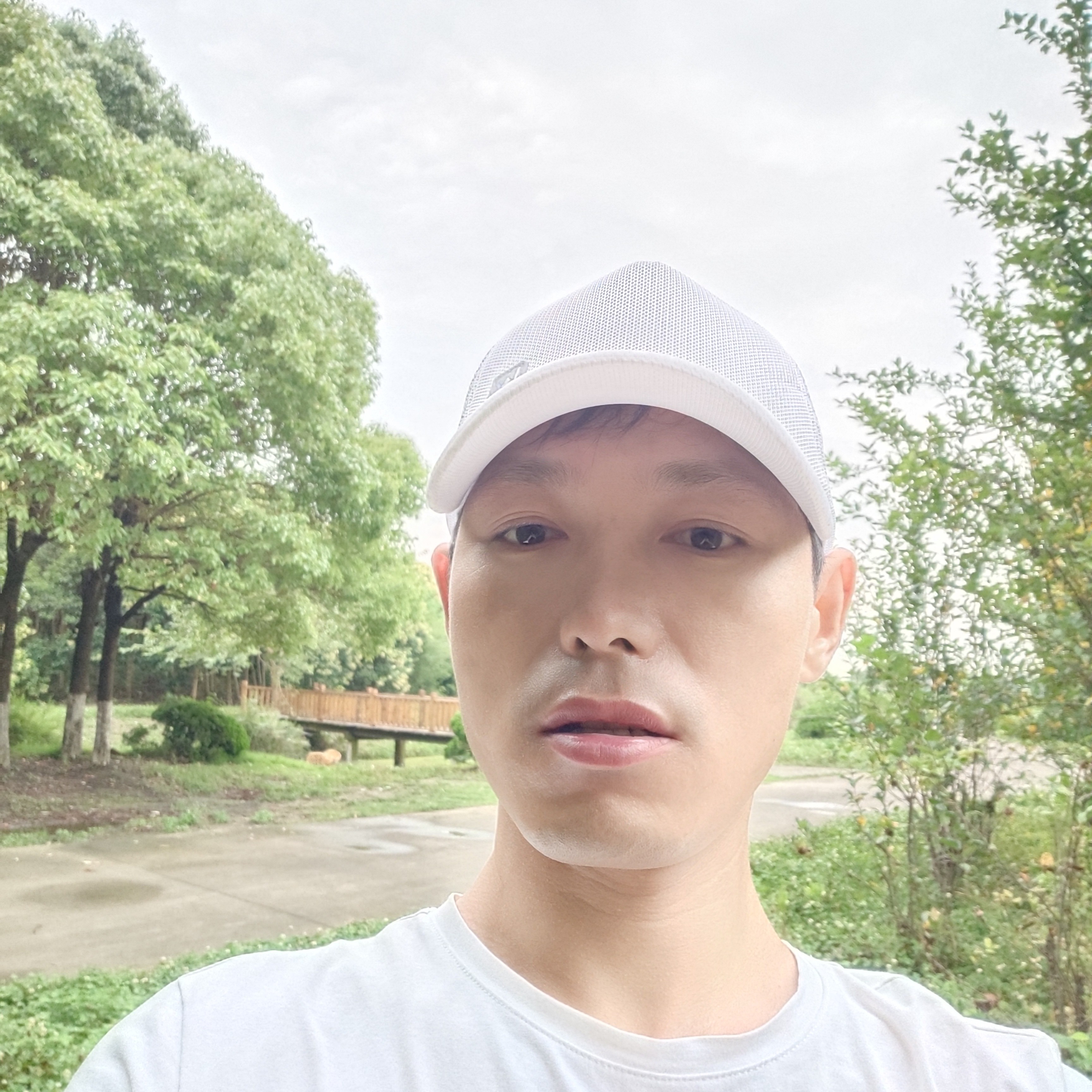 飞鸟迎踏实263的照片