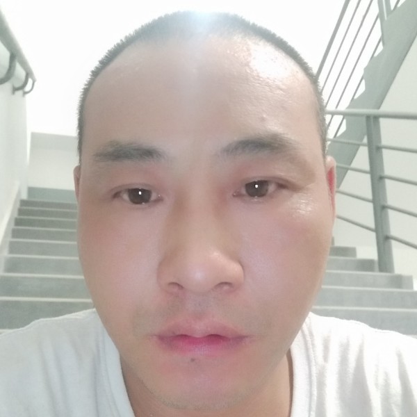 钢笔碧蓝的照片