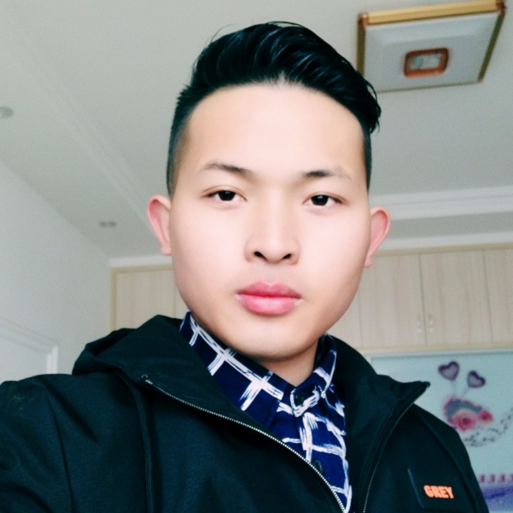 谦让黄蜂的照片