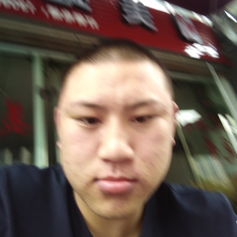 小天鹅漫步多情的照片