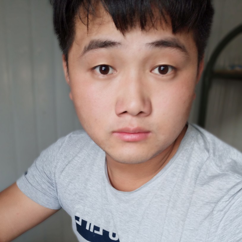 仙人掌的照片