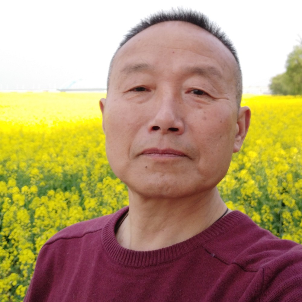 路灯停止个性的照片