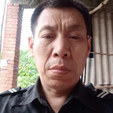灰狼不听话的的照片