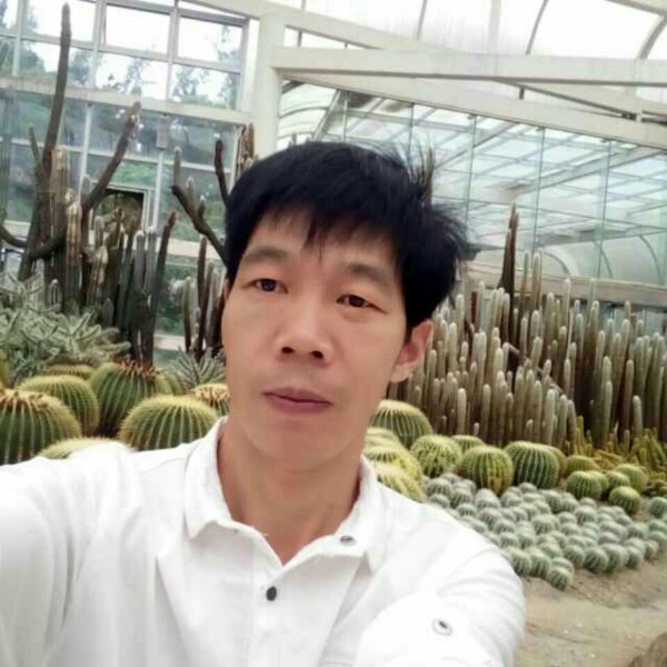 张波涛的照片