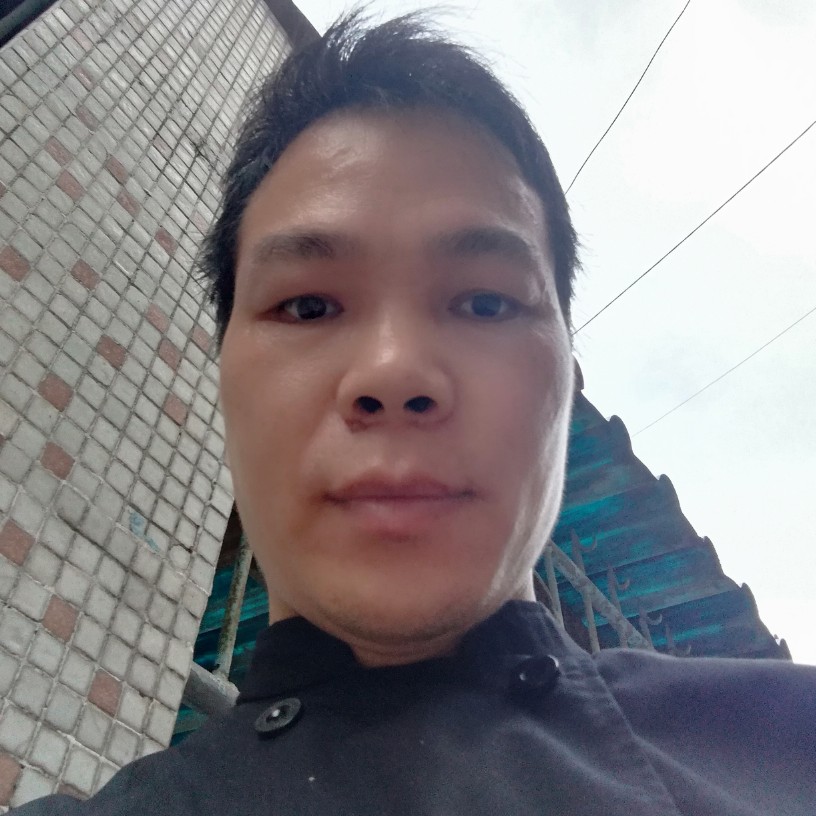 阳光下的小鱼虾的照片