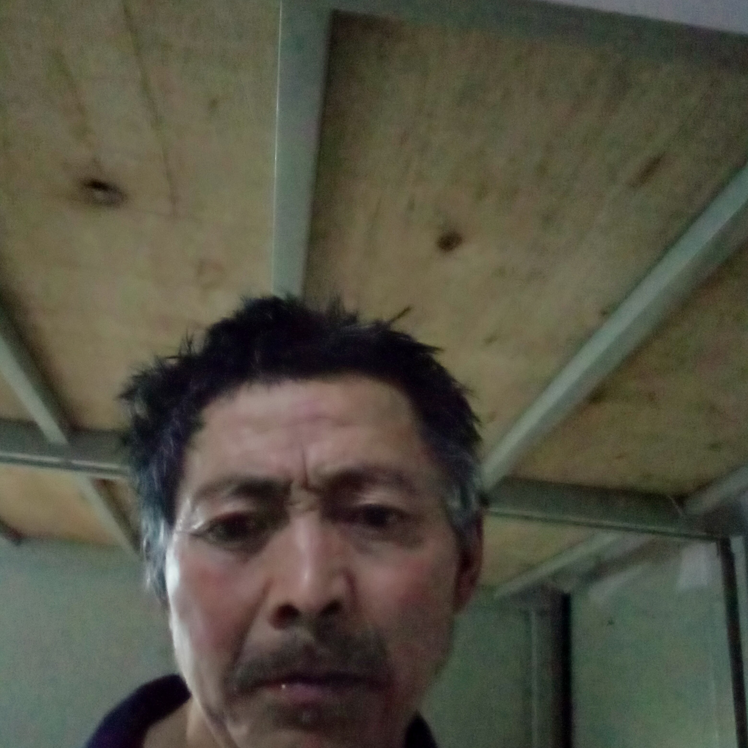 奇异果倾心欠你的的照片
