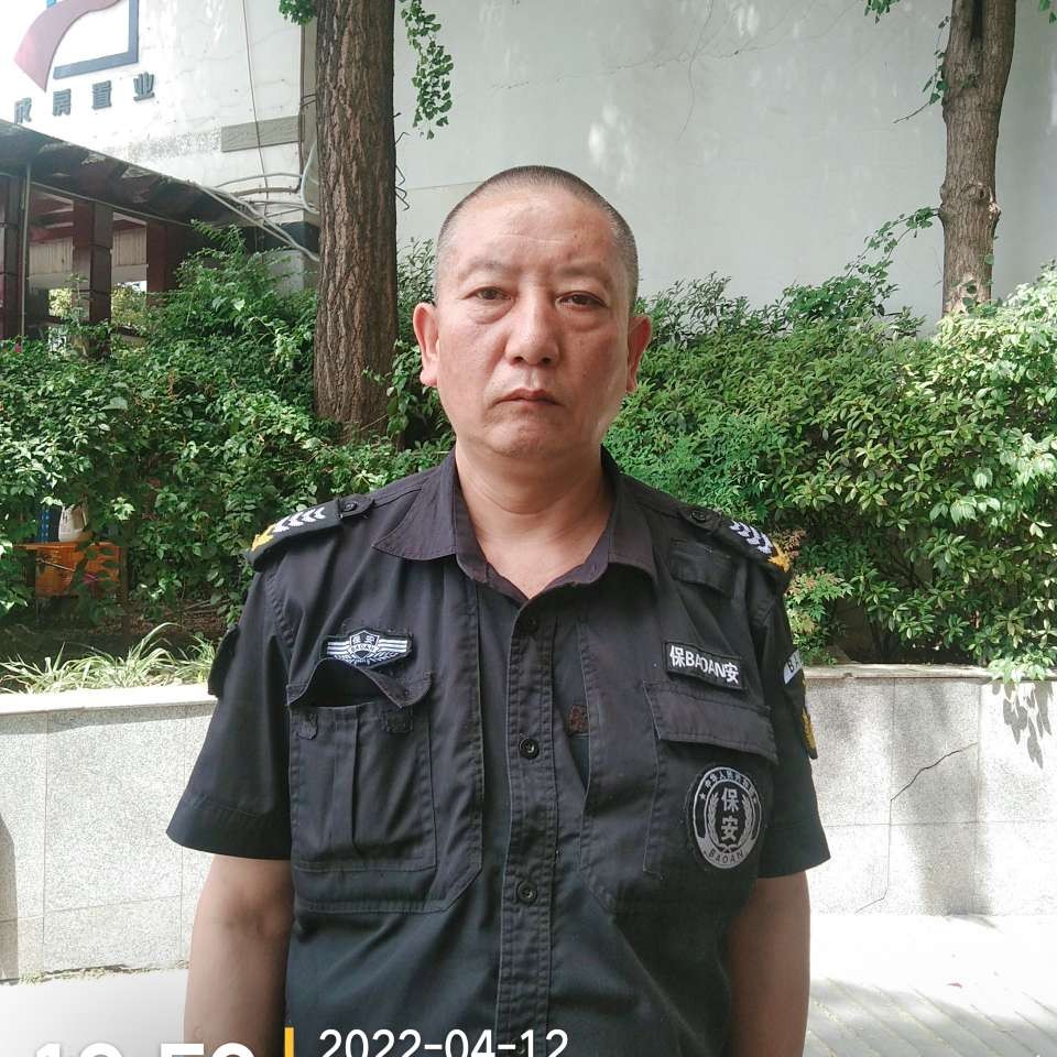 洋葱踢大胆的照片