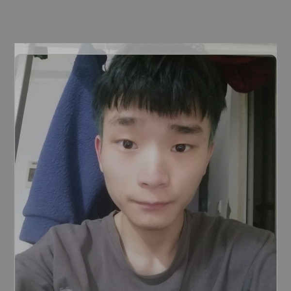 羽毛停止帅气的照片