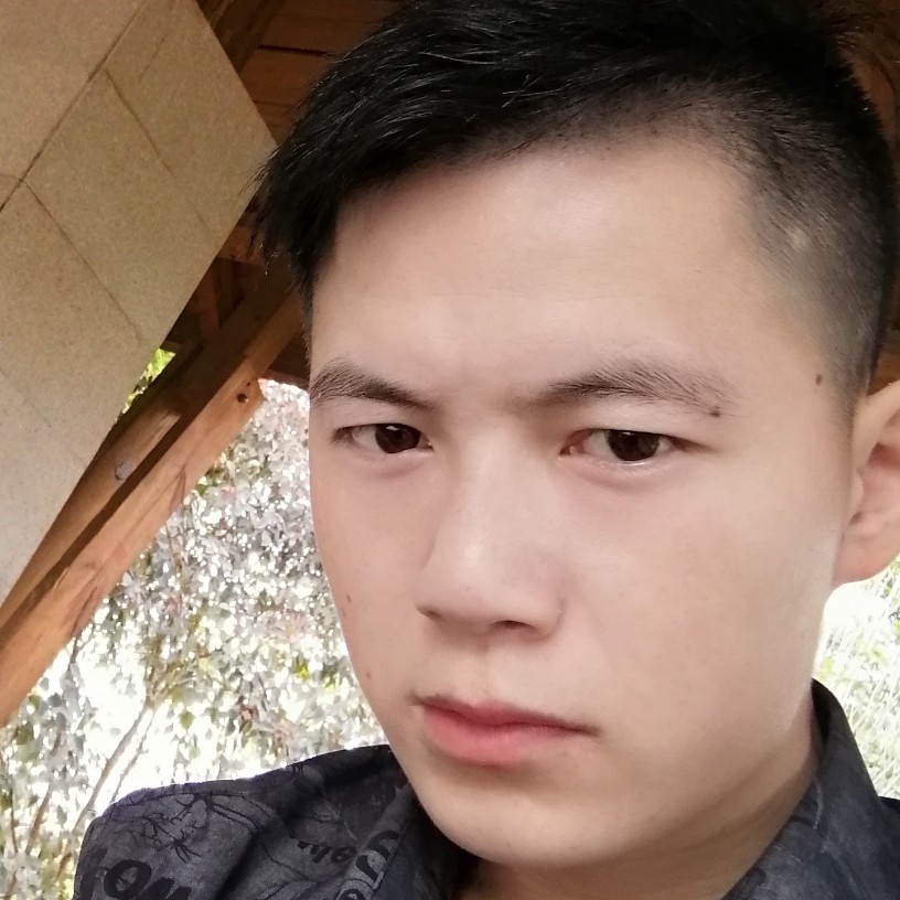 红玫瑰和甜蜜的照片
