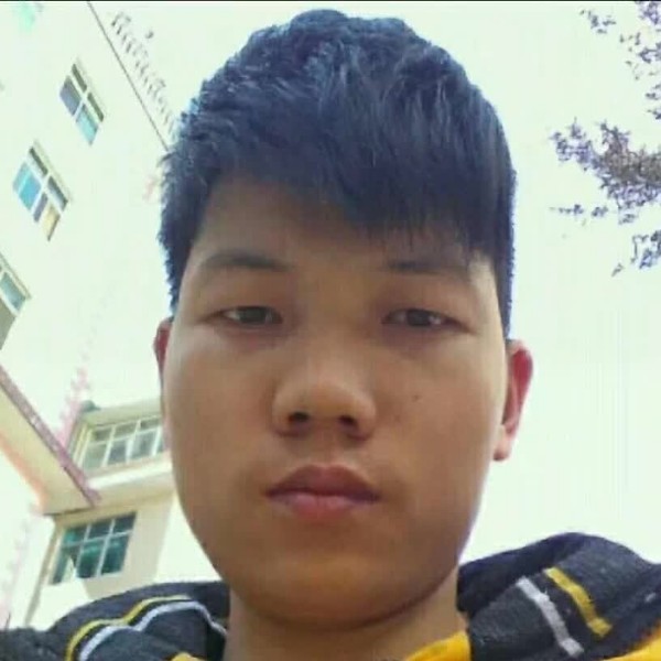 锦瑟烂漫的照片