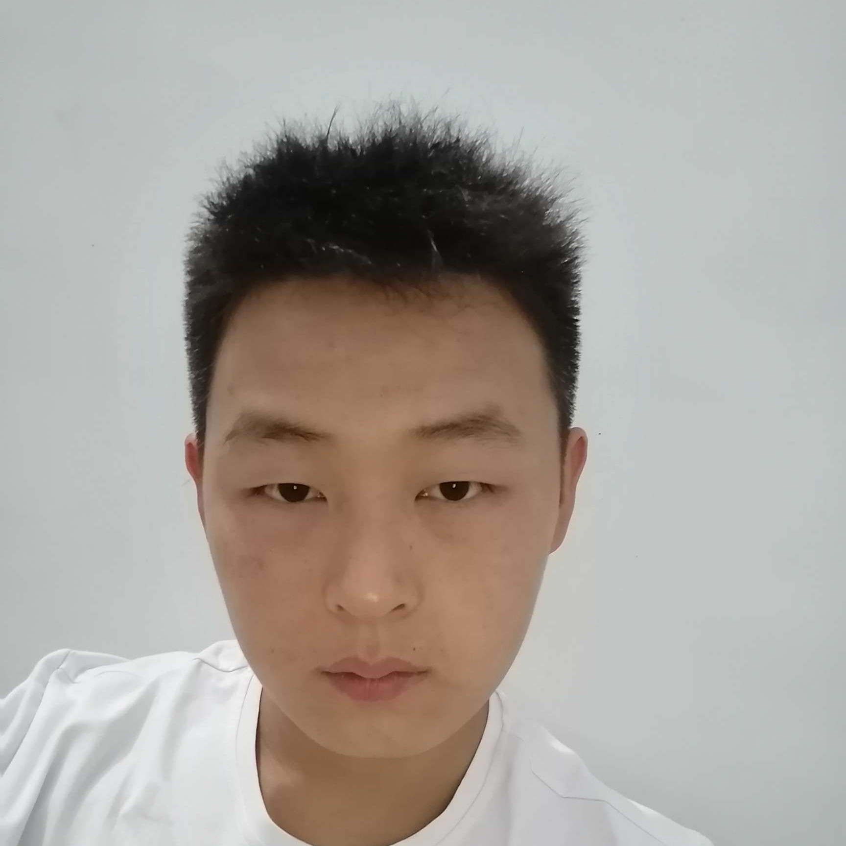 夏赛的照片