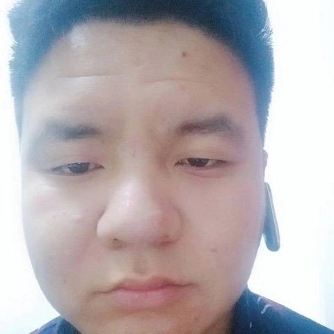 龙猫拾忆成就的照片
