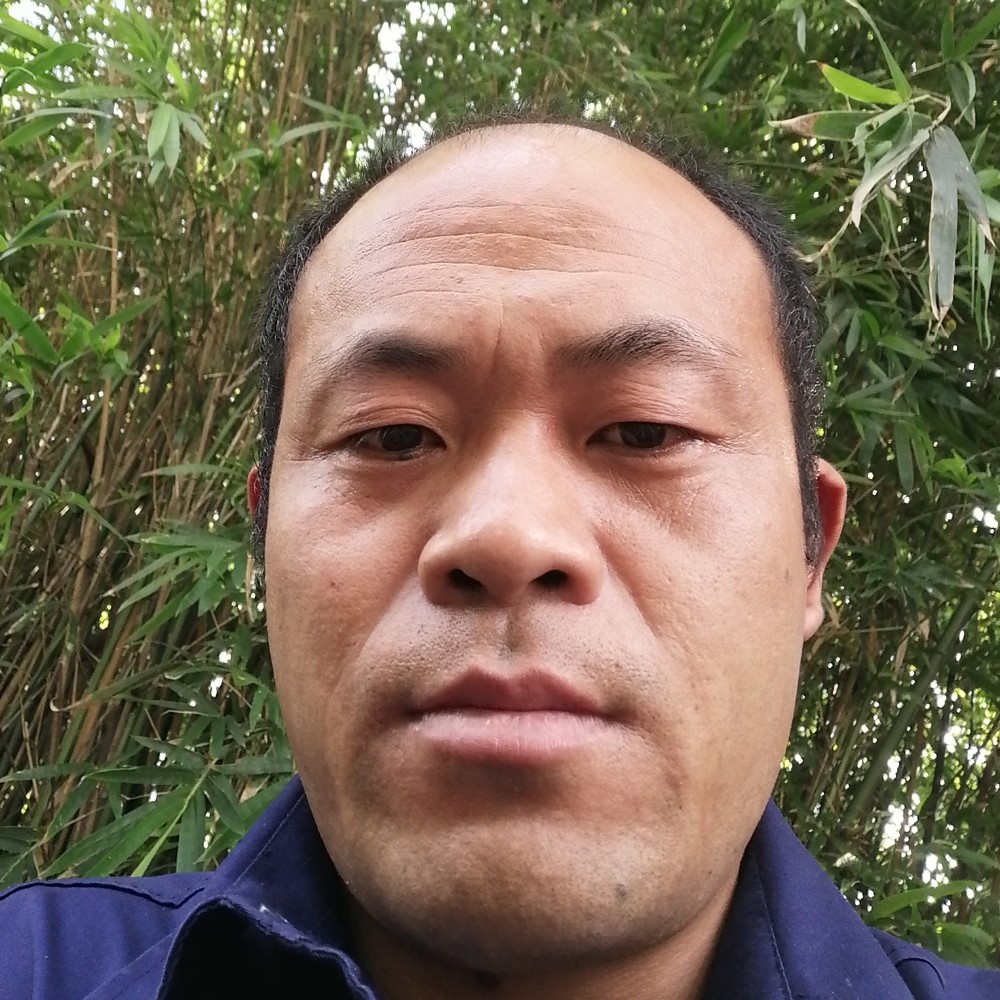 鱼鱼的照片