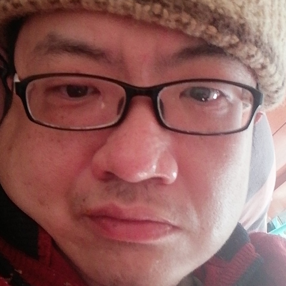 小巧吃醋黄蜂的照片