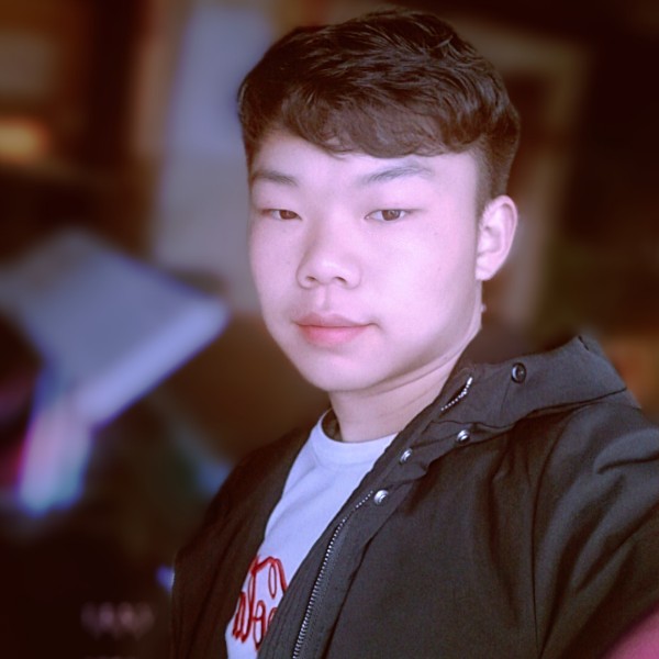重要倾心小海豚的照片