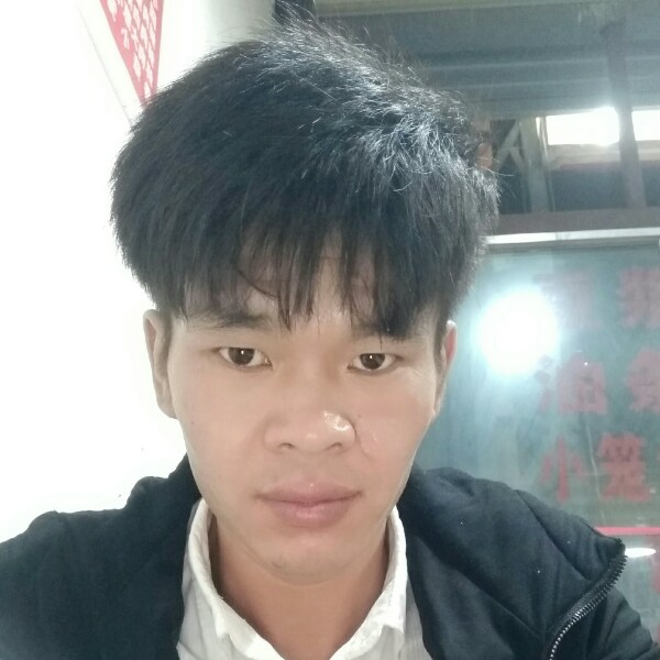 笨笨停止过客的照片