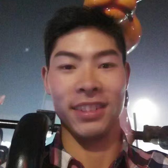 猫咪欢喜的照片