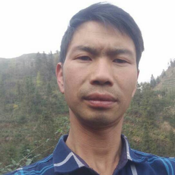 淡淡踢外套的照片