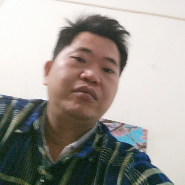 傻傻含羞草的照片