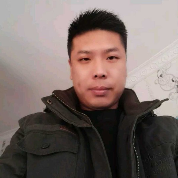 英勇斑马的照片