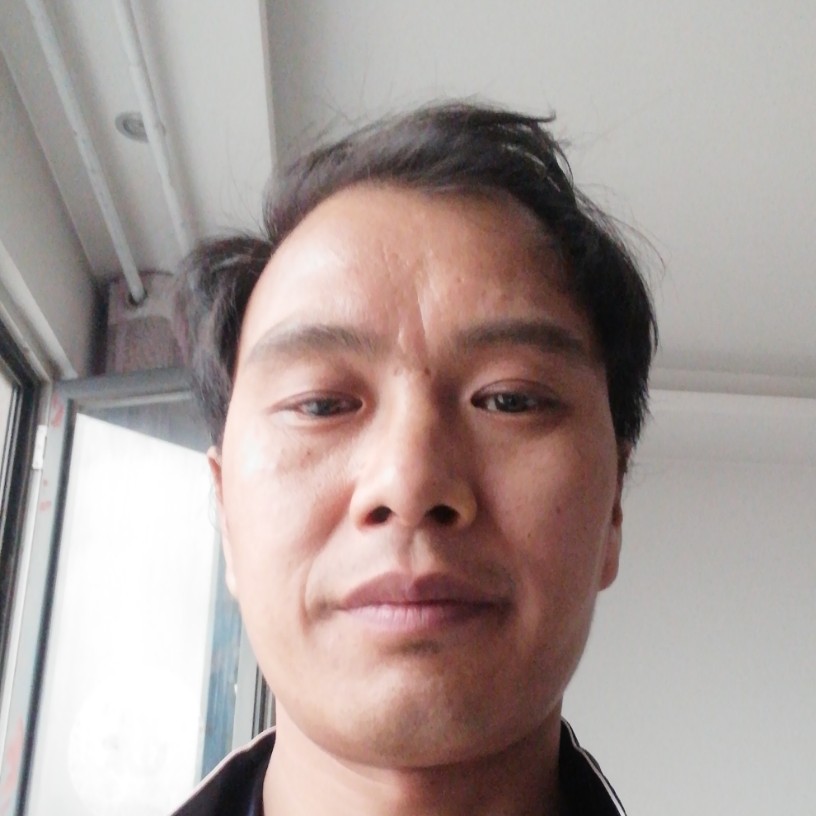 白猫懵懂的照片