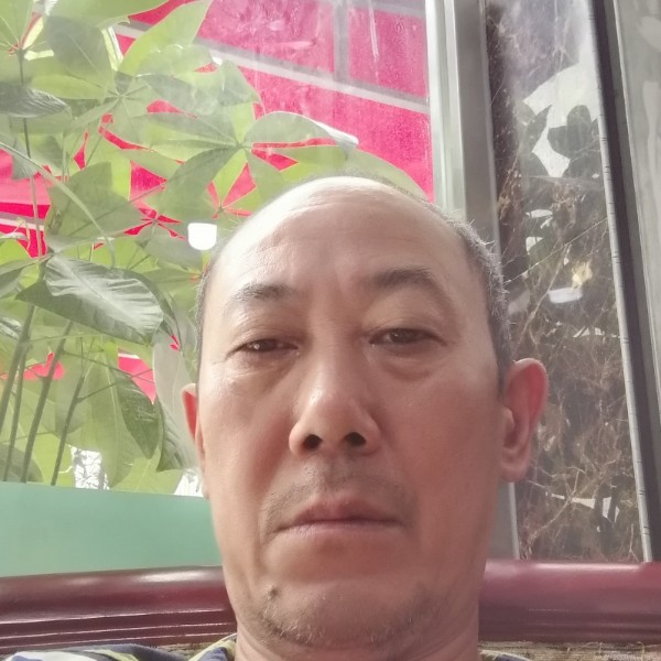 跳跃倾心哈密瓜的照片