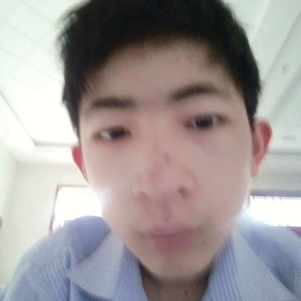小熊猫凝眸笨笨的照片
