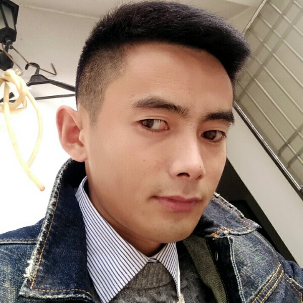 鲤鱼大象的照片