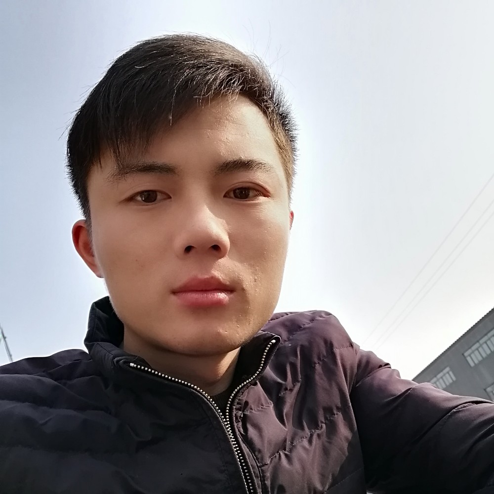苏氏家族的照片