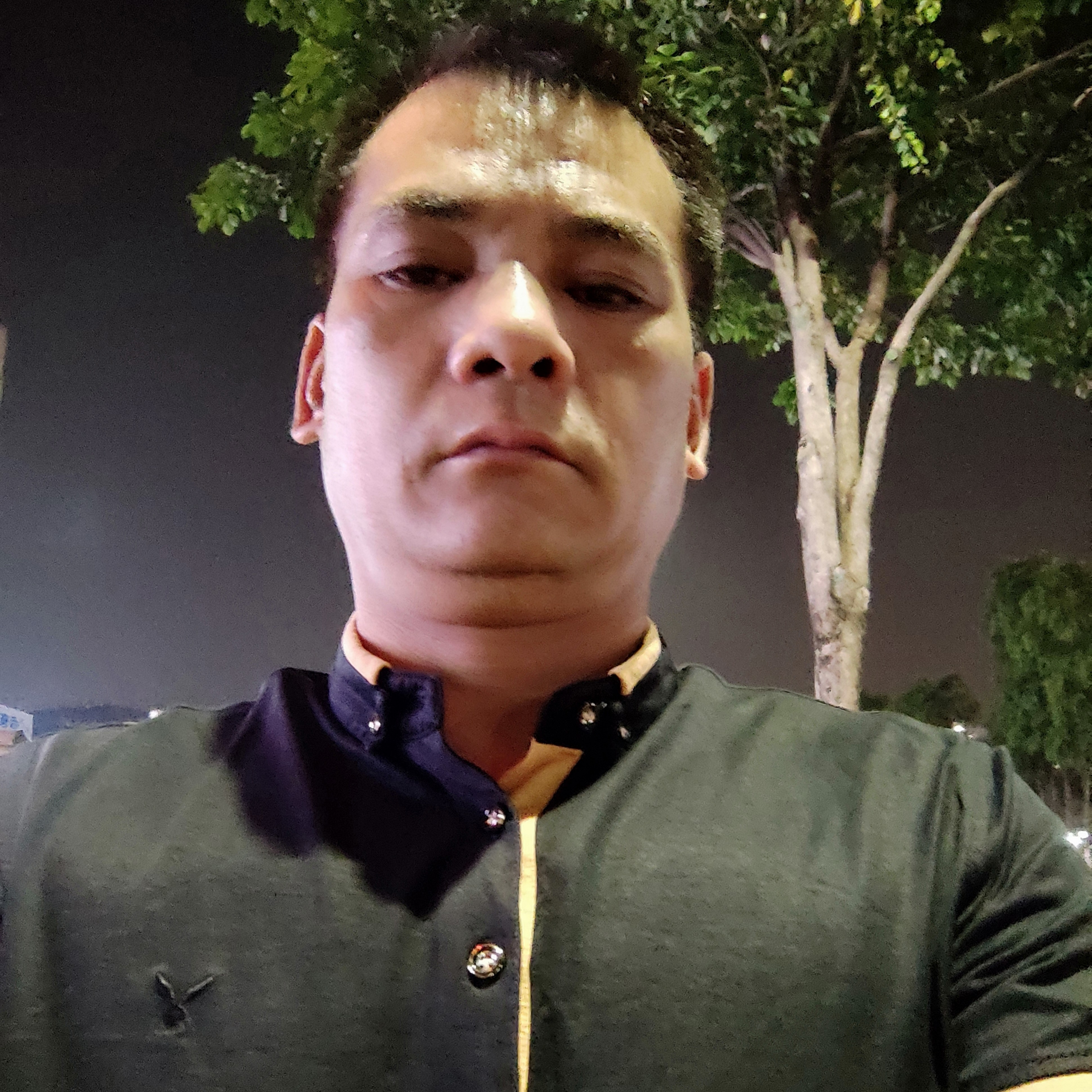 菠萝鸭的照片