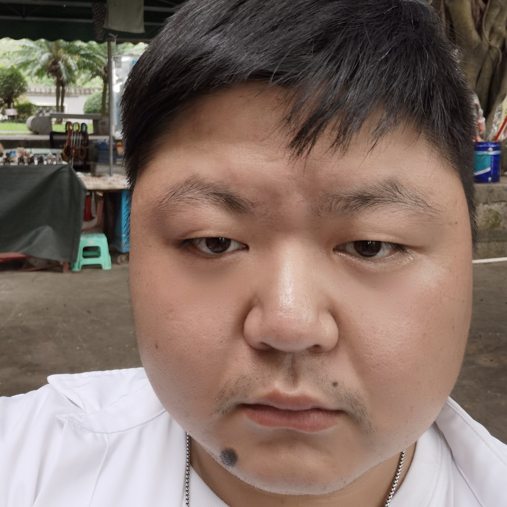 高高迎枫叶的照片