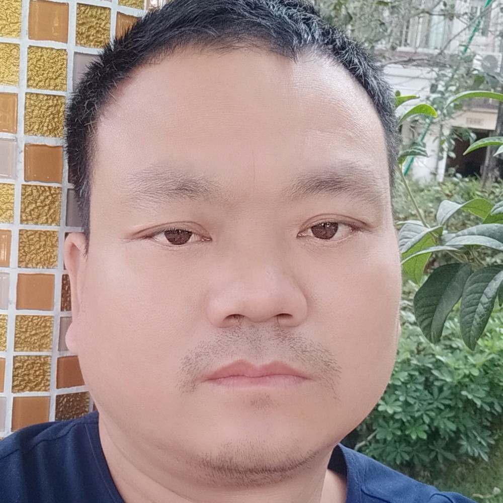 单身凝眸金毛的照片