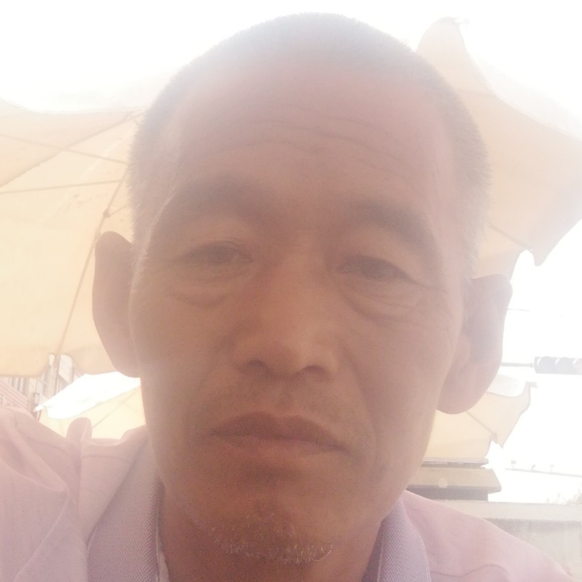 （流浪的）人的照片