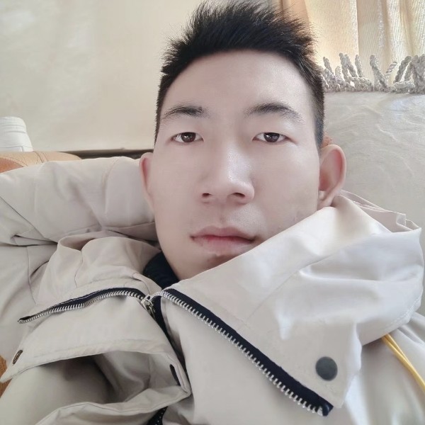 台灯外面的鸵鸟的照片