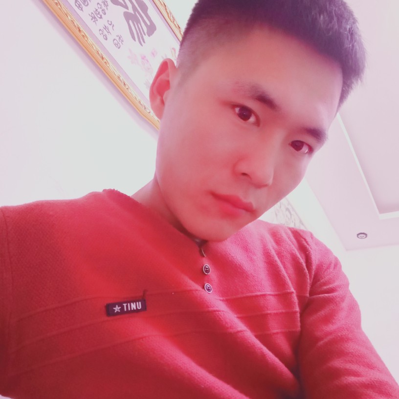 还单身的含羞草的照片