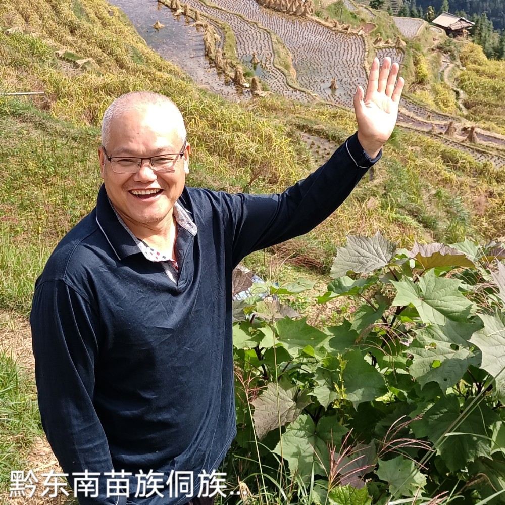 了无忧的照片